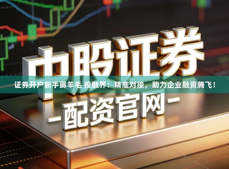 证券开户新手薅羊毛 投融界：精准对接，助力企业融资腾飞！