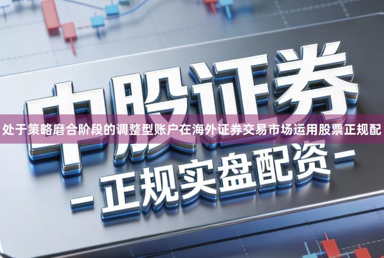 处于策略磨合阶段的调整型账户在海外证券交易市场运用股票正规配