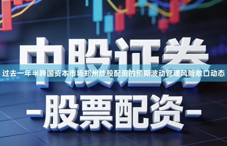 过去一年半跨国资本市场郑州炒股配资的预期波动管理风险敞口动态