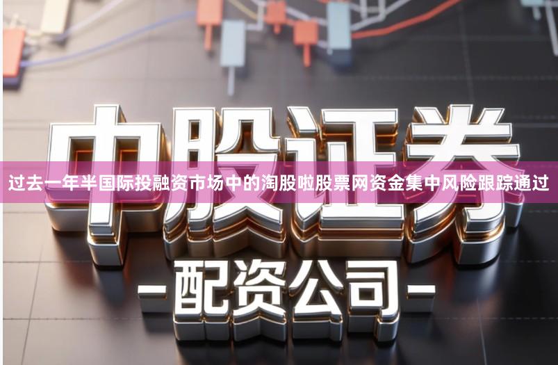 过去一年半国际投融资市场中的淘股啦股票网资金集中风险跟踪通过