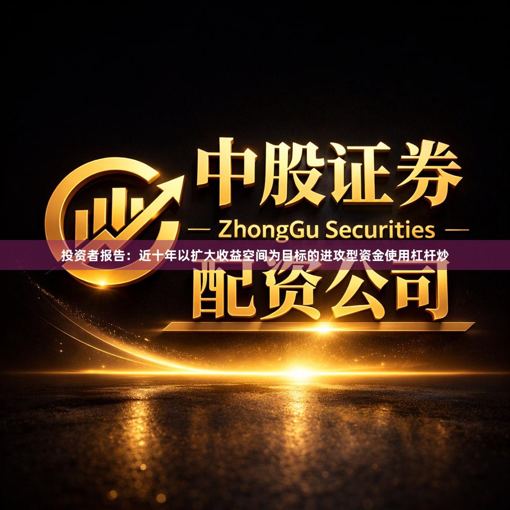 投资者报告：近十年以扩大收益空间为目标的进攻型资金使用杠杆炒