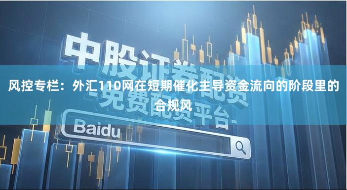 风控专栏：外汇110网在短期催化主导资金流向的阶段里的合规风