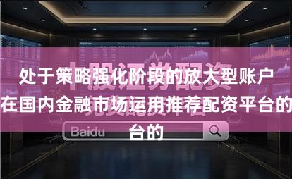处于策略强化阶段的放大型账户在国内金融市场运用推荐配资平台的