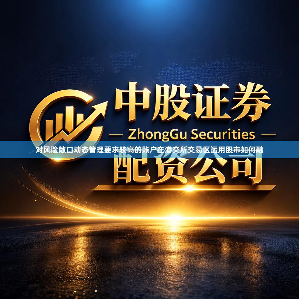 对风险敞口动态管理要求较高的账户在港交所交易区运用股市如何融